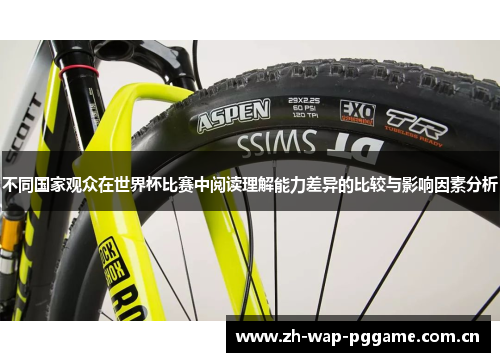 不同国家观众在世界杯比赛中阅读理解能力差异的比较与影响因素分析
